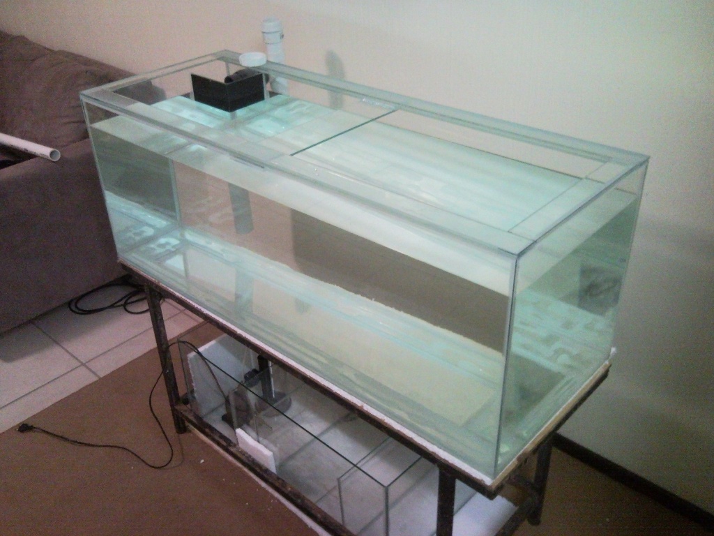 Sentari's Tank Setup