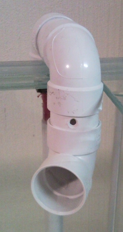 Sentari's Tank Setup 3