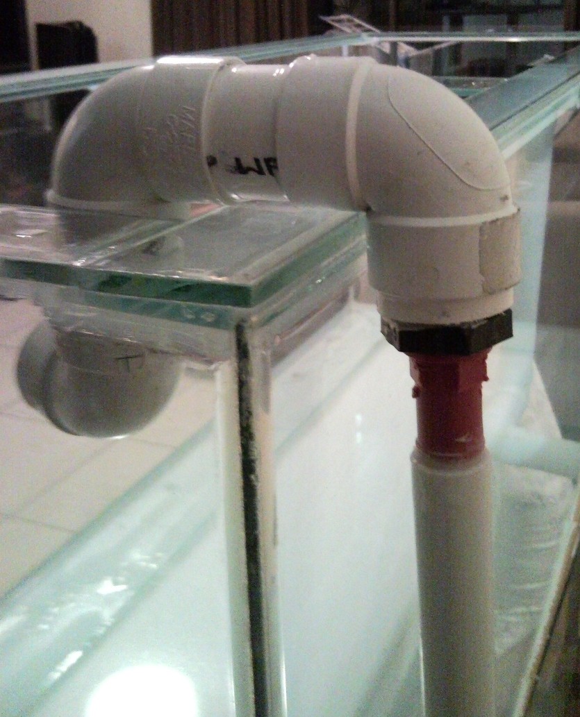 Sentari's Tank Setup