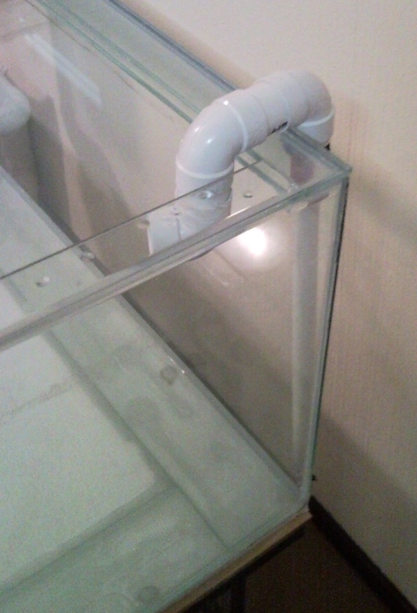 Sentari's Tank Setup 2