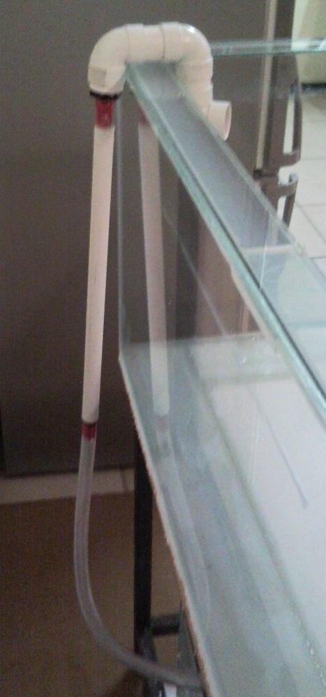 Sentari's Tank Setup 3