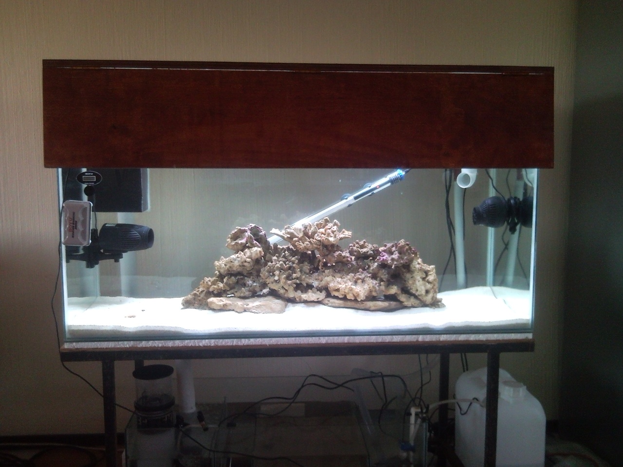 Sentari's Tank Setup 3