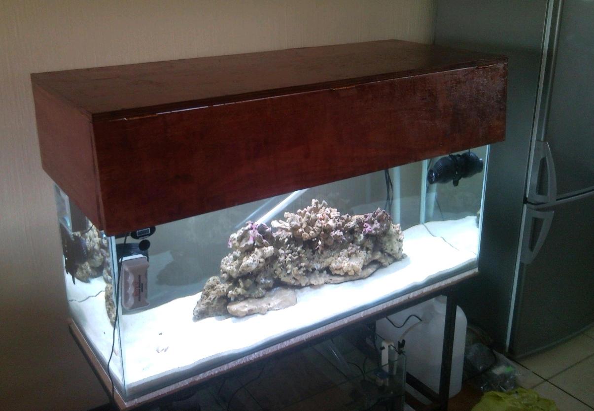 Sentari's Tank Setup 3