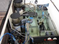 Dragon Reef 1 year 3