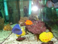 Sun city 2 Sun city 2