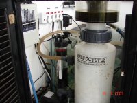 Dragon Reef 1 year 5