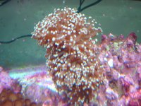 Effect of new lights