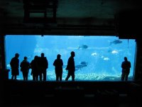 SARKAB 2006 Durban 2