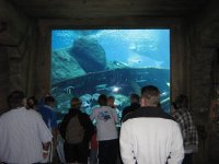 SARKAB 2006 Durban 5