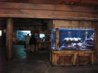 SARKAB 2006 Durban 2