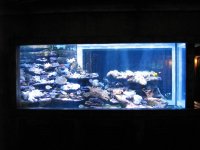 SARKAB 2006 Durban 5