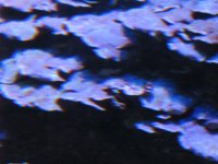 SARKAB 2006 Durban 5