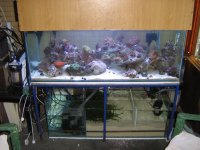 SARKAB 2006 Durban 5