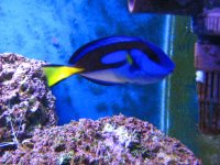 Meeting 7 (AKA Meeting 6 on SARK) 10 Meeting 7 (AKA Meeting 6 on SARK) 10