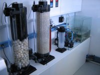 MEETING8 Adriaan (IDOL MARINE) 9