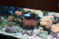 Meeting 9 5 Meeting 9 5