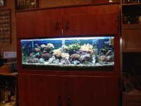 Meeting 9 - Jan Bobs 5