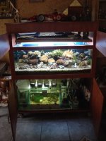 Meeting 9 - Jan Bobs