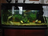 Meeting 9 - Jan Bobs 3