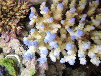 top down&lighting top down&lighting