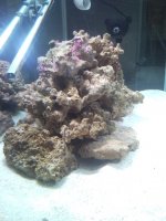 Sentari's Tank Setup 3