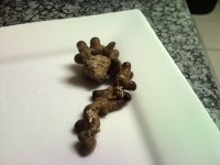 Sentari's Tank Setup Sentari's Tank Setup