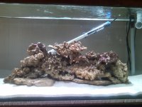 Sentari's Tank Setup 2